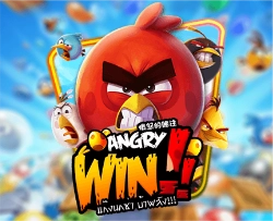 ANGRYBIRD